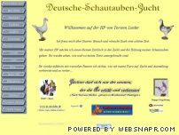 Tauben für die Hochzeit - Deutsche Schautauben